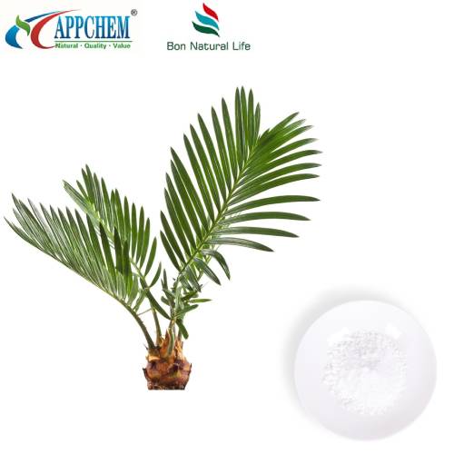 Saw Palmetto extraktpulver