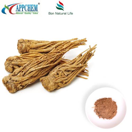 Angelica Sinensis extrakt