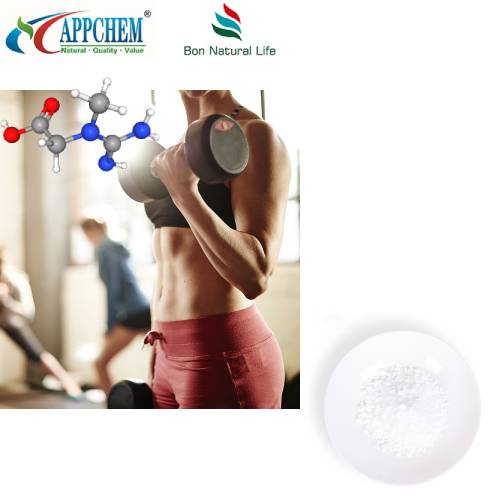Creatine Monohydrate Bulk Pulver