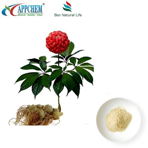 Notoginseng rotextrakt