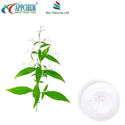 Andrographis Paniculata extrakt Andrographolide