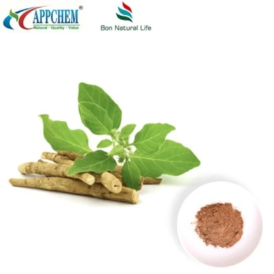 Ashwagandha Extract Powder (Withanolides) Tillverkning 30655-48-2