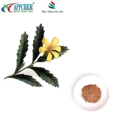 Damiana extraktpulver
