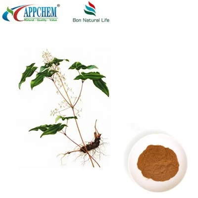 Epimedium extraktpulver