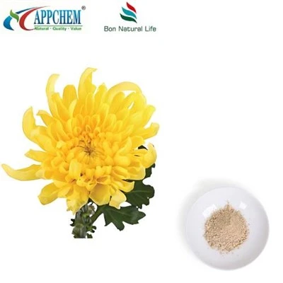 Flos Chrysanthemi extraktpulver