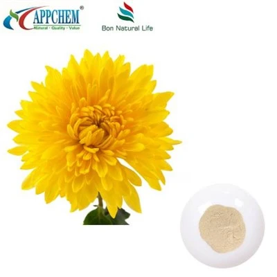 Flos Chrysanthemi extrakt