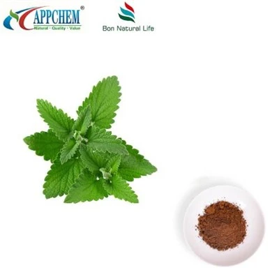 Citronmelissextraktpulver
