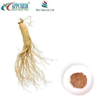Panax ginsengextraktpulver