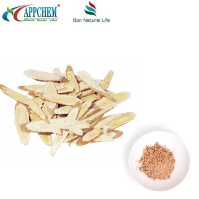 Radix Astragali extraktpulver