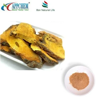 Resveratrol Polygonum Cuspidatum extraktpulver