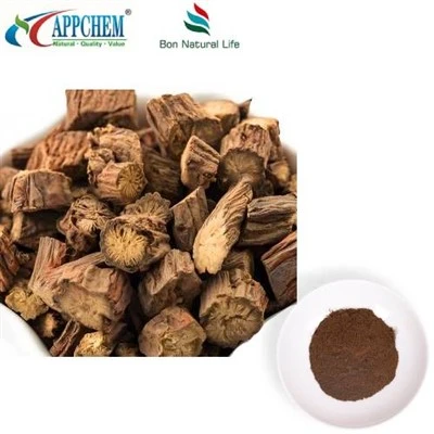 Salvia Miltiorrhiza extraktpulver