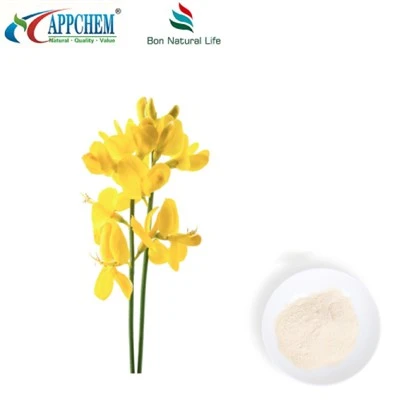 Thermopsis Lanceolata R.Br Extract; Cytisin HPLC98% pulver 485-35-8